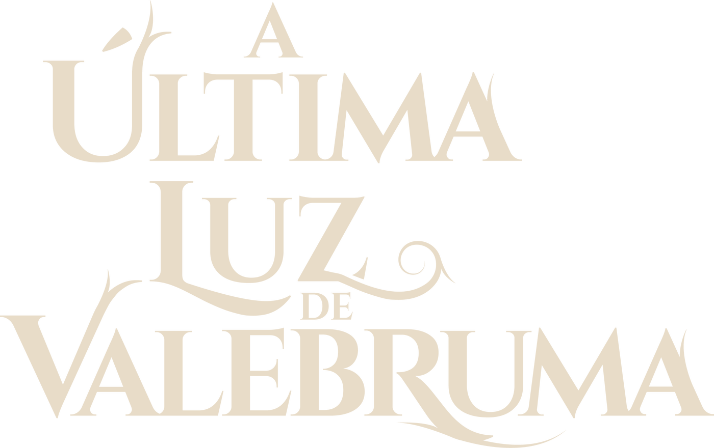 A Última Luz de Valebruma